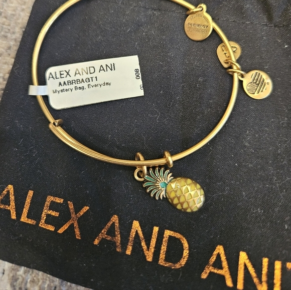 Alex and Ani Jewelry - NWT Alex and Ani Gold Pineapple Bangle